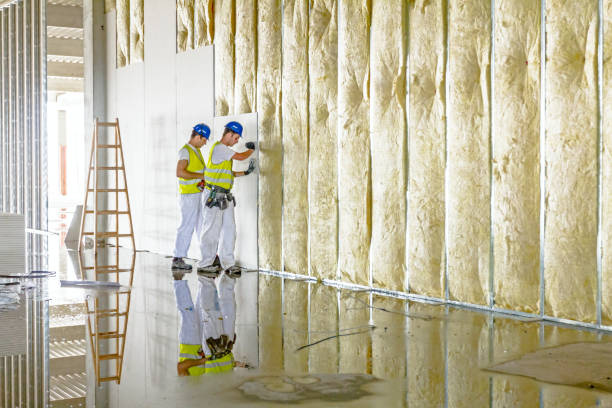 Best Soundproof Insulation  in Haughton, LA